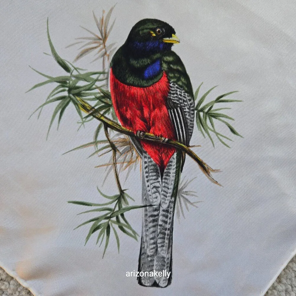 Vintage Silk Scarf Roland Ward Painted Birds Collectible